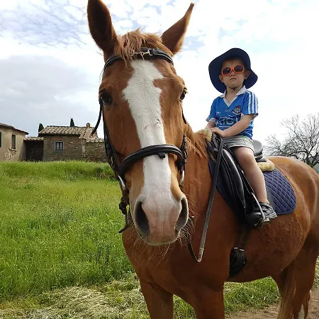 مزرعة للإقامة Agriturismo Sinciano