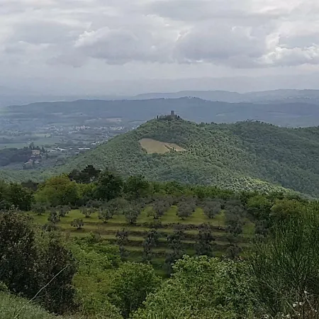 Agriturismo Sinciano *