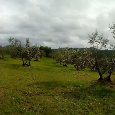 مزرعة للإقامة Agriturismo Sinciano *
