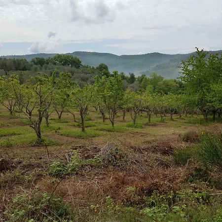 مزرعة للإقامة Agriturismo Sinciano