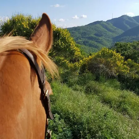 مزرعة للإقامة Agriturismo Sinciano